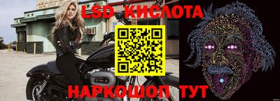 стаф Гатчина