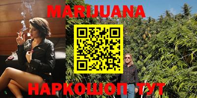 стаф Гатчина