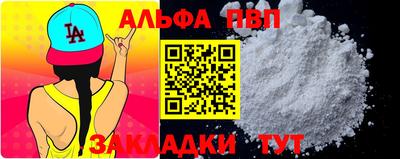 стаф Гатчина