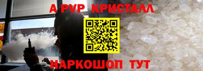 стаф Гатчина