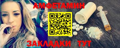 стаф Гатчина