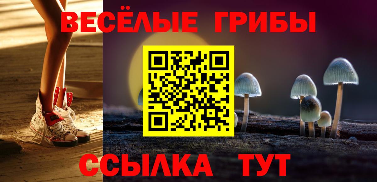 Пушкино  Галлюциногенные грибы Psilocybine cubensis  Вход с VPN 
